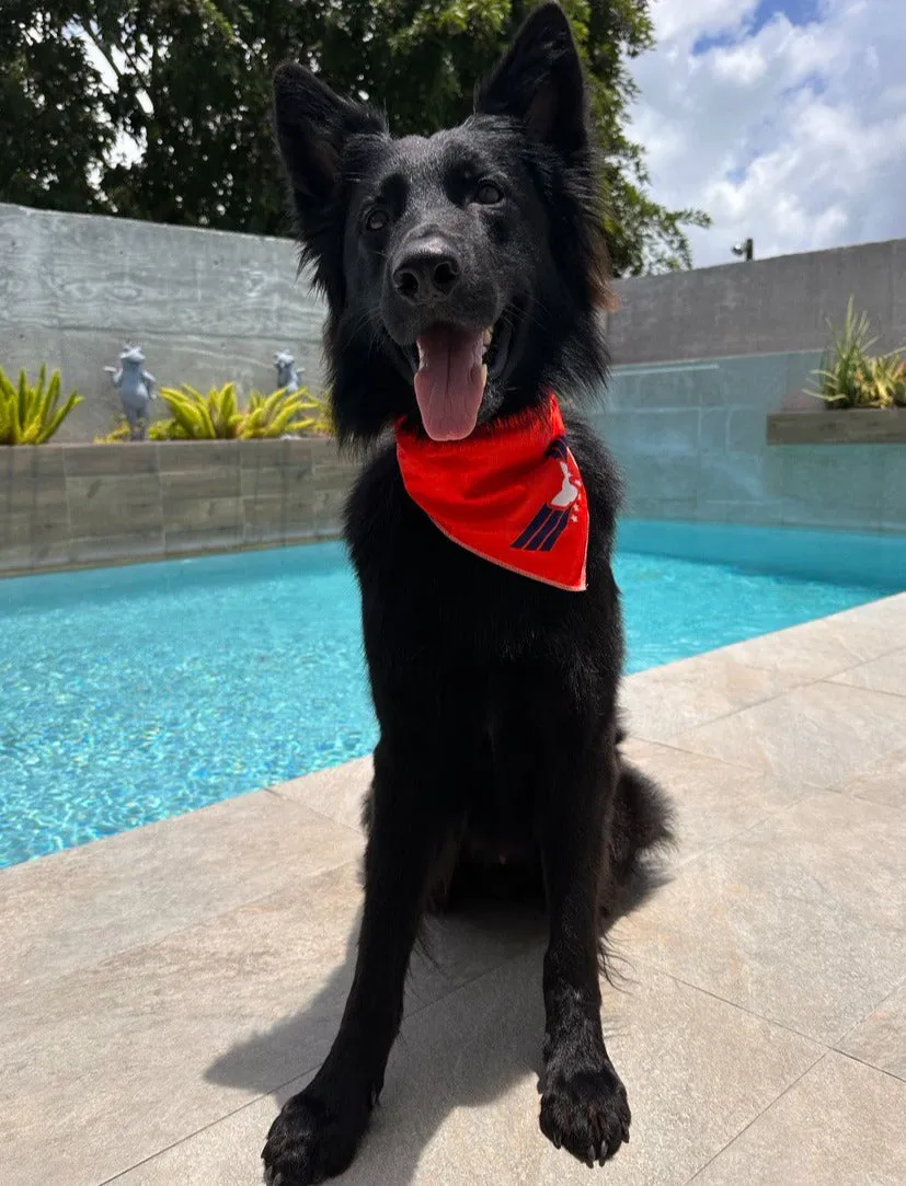 Ahoy Dogoy Cooling Down Reversible Mesh Dog Bandana | Nauti-Paws