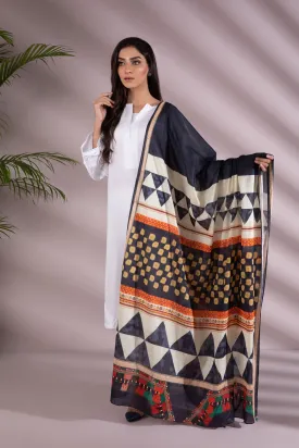 Blogger Dupatta