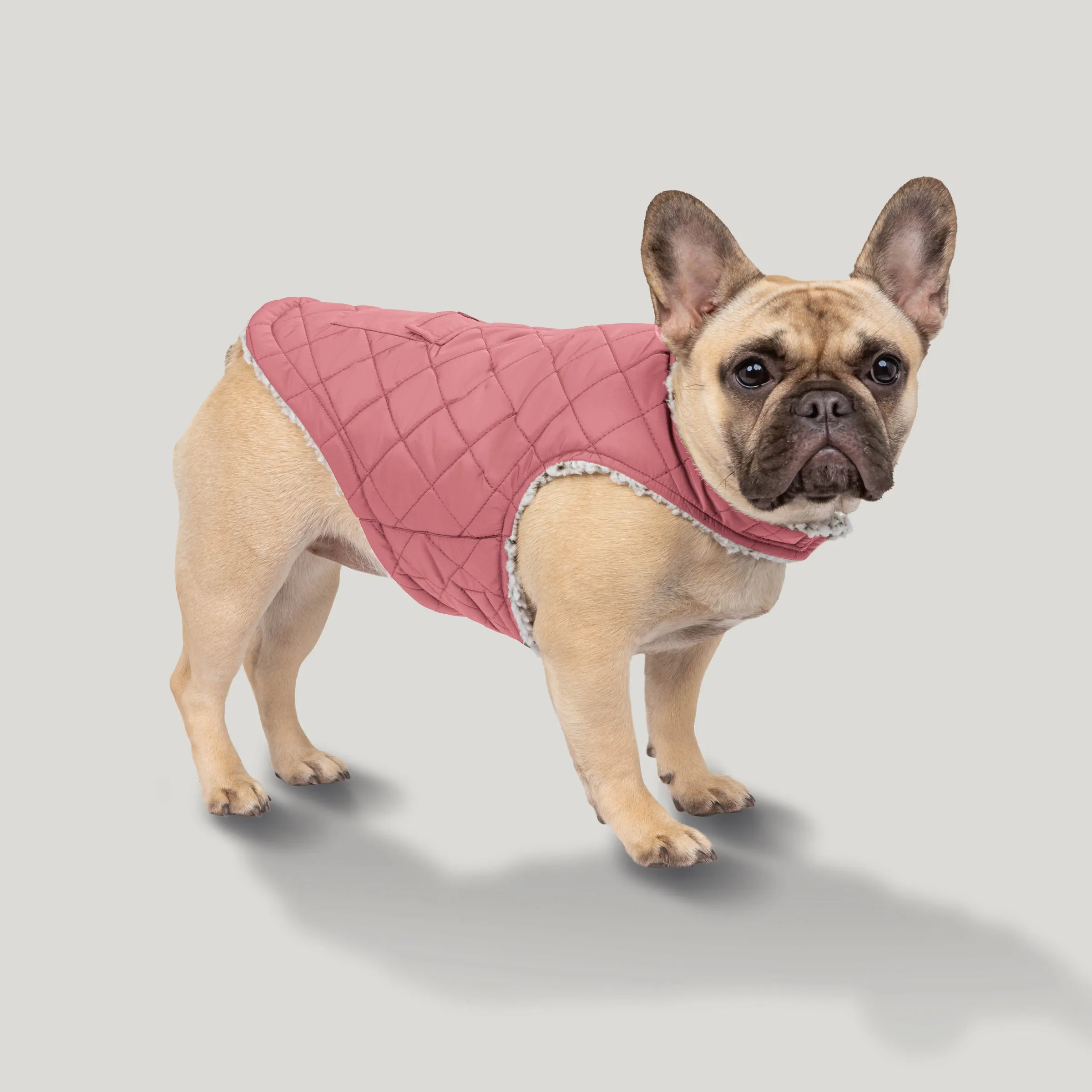 Here is an optimized title with modifiers:

Stratus Lite Reversible Insulated Dog Jacket – Lightweight, Water-Resistant Pet Coat for All-Weather Comfort